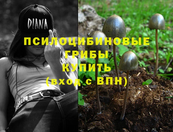 прущие крисы Гусиноозёрск