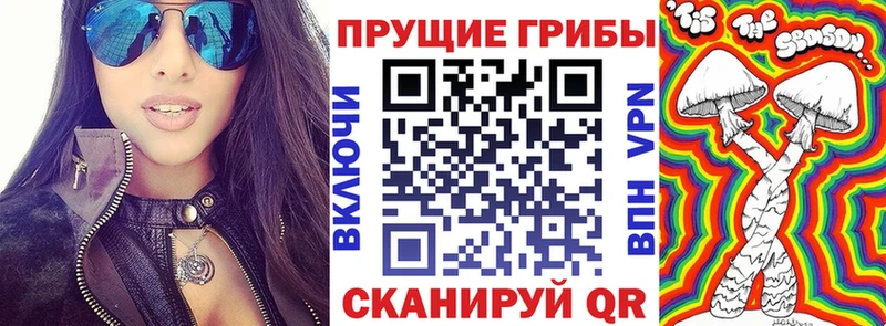 Псилоцибиновые грибы Psilocybe  Купить где  Крымск 